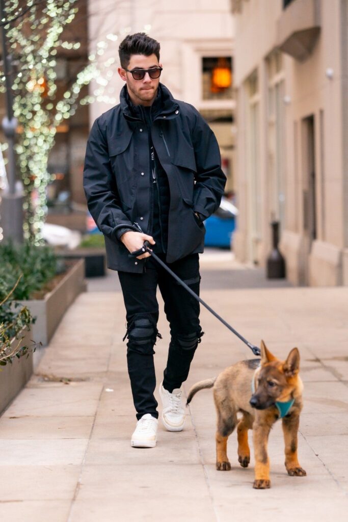Nick Jonas and dog strolling on NY City